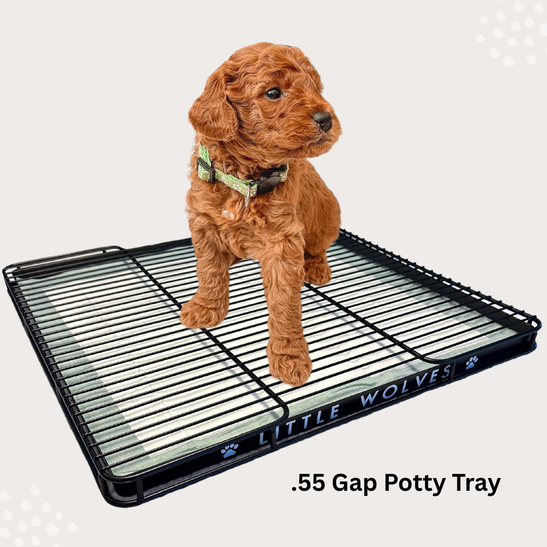 Little Wolves Potty Tray 22" x 22"