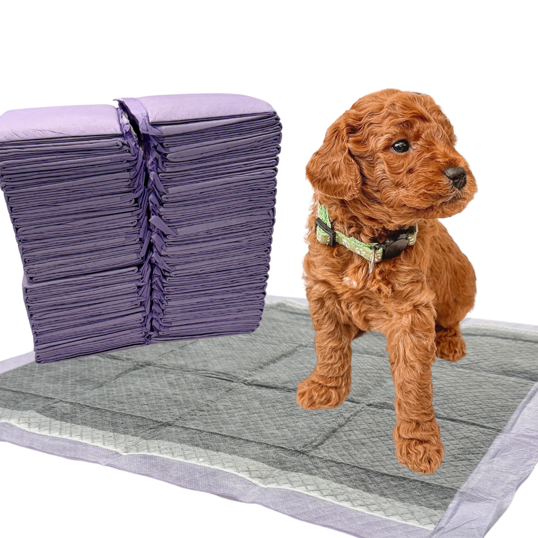 Little Wolves Disposable Puppy Pads - 21" x 21" - 200 Pack