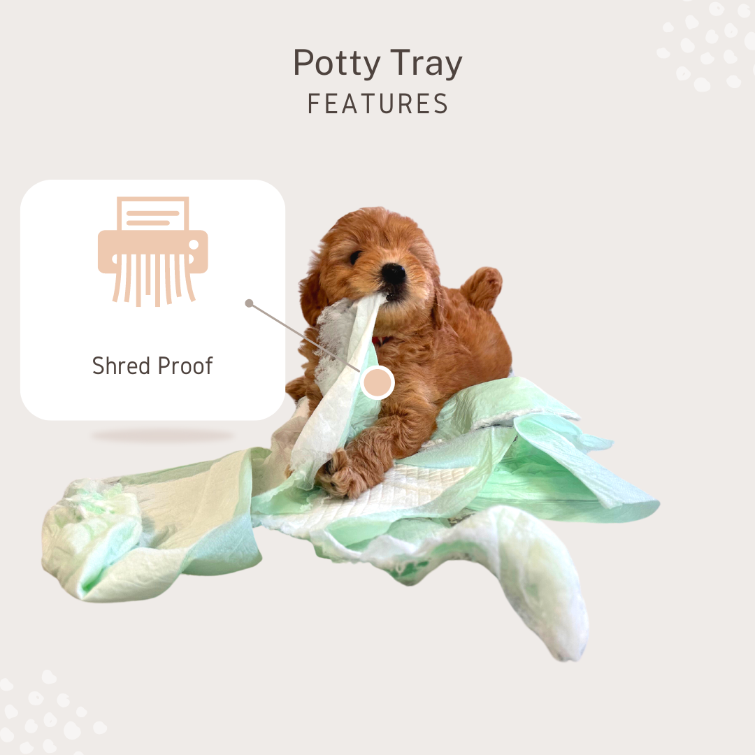 Little Wolves Potty Tray 22" x 22"