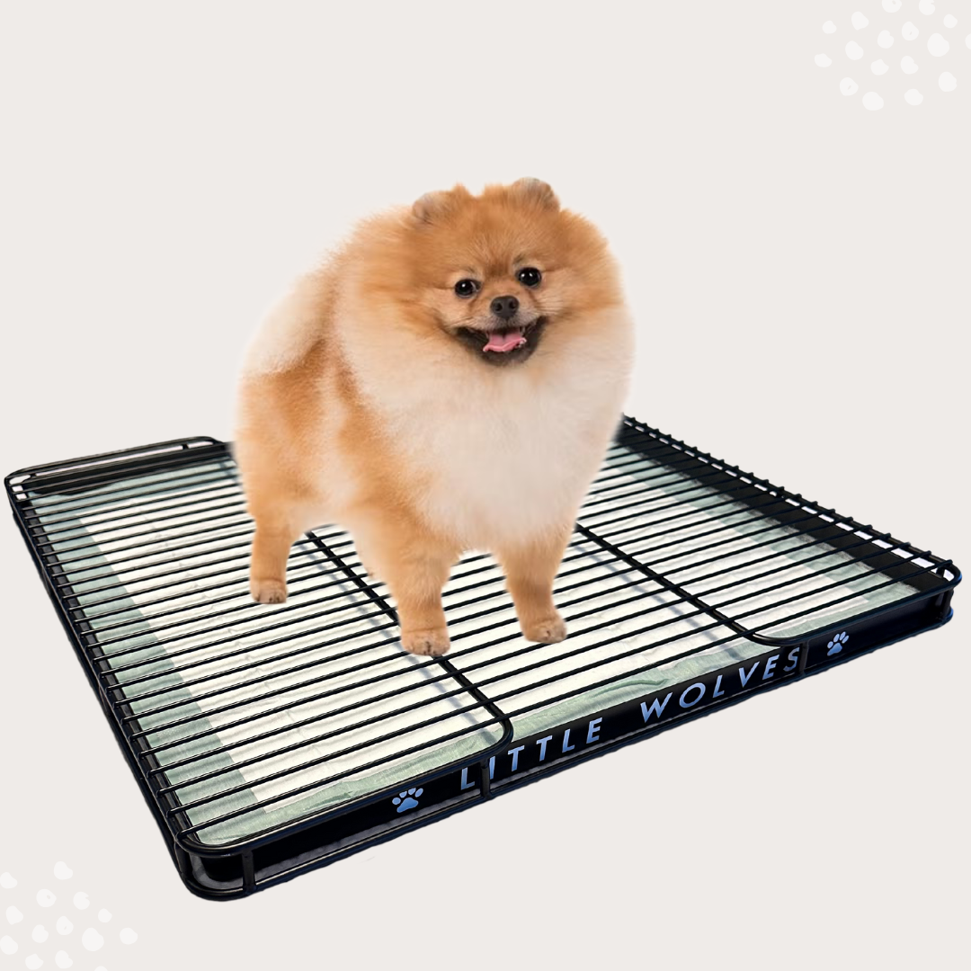 Little Wolves Potty Tray 22" x 22" - Seconds Discount