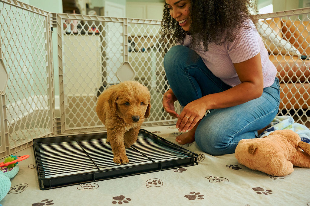 Woman with a puppy inside a pet pen with a mat on the floor.