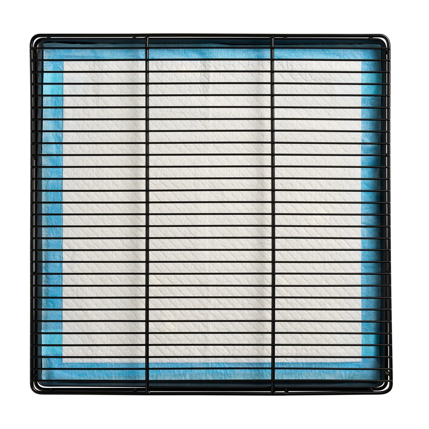 Little Wolves Potty Tray 22" x 22"