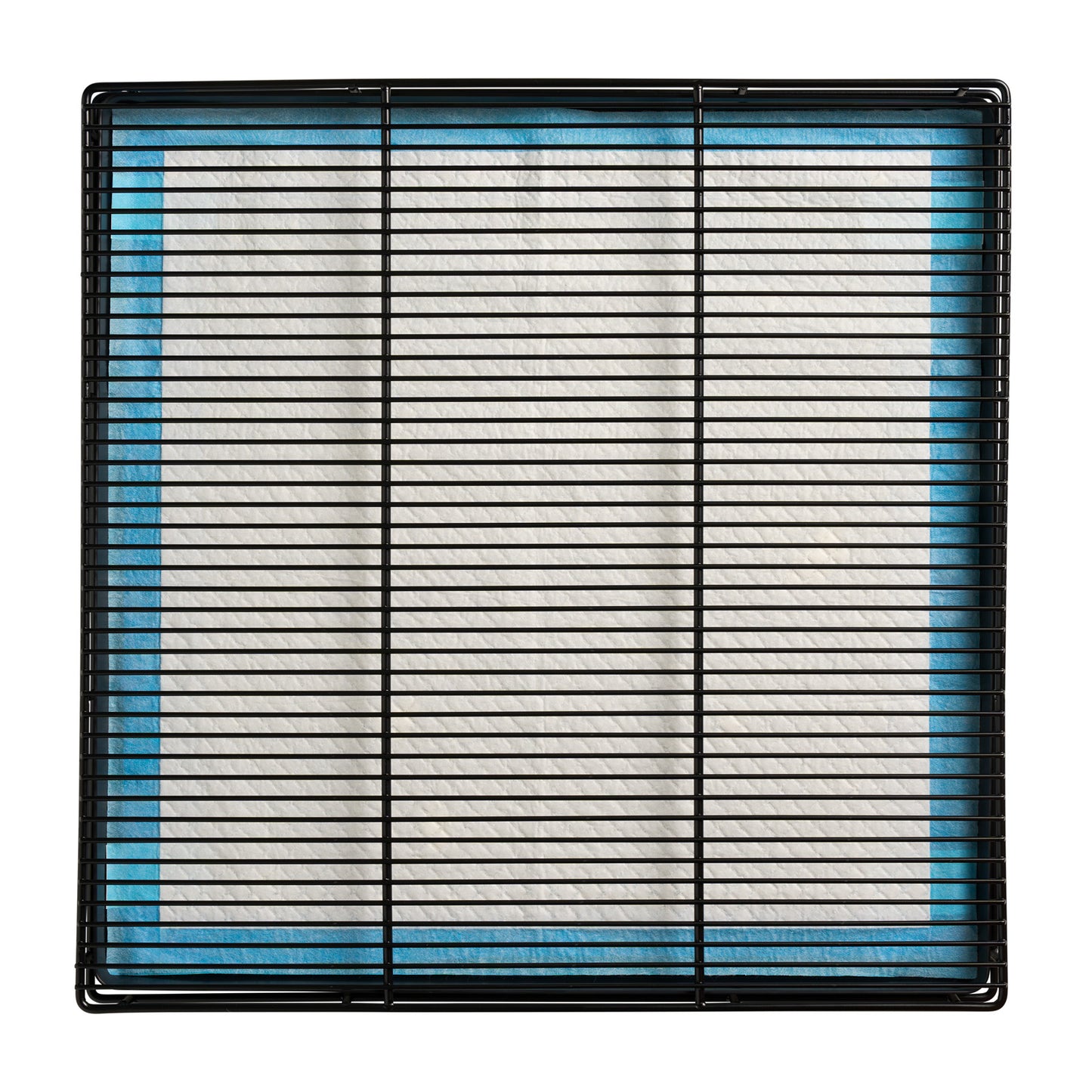 Little Wolves Potty Tray 22" x 22"