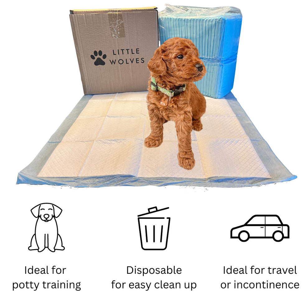 Little Wolves Disposable Puppy Pads 21" x 21" 200 Pack